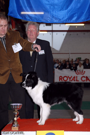 gal/Expo janvier 2007/KD1_0204.jpg